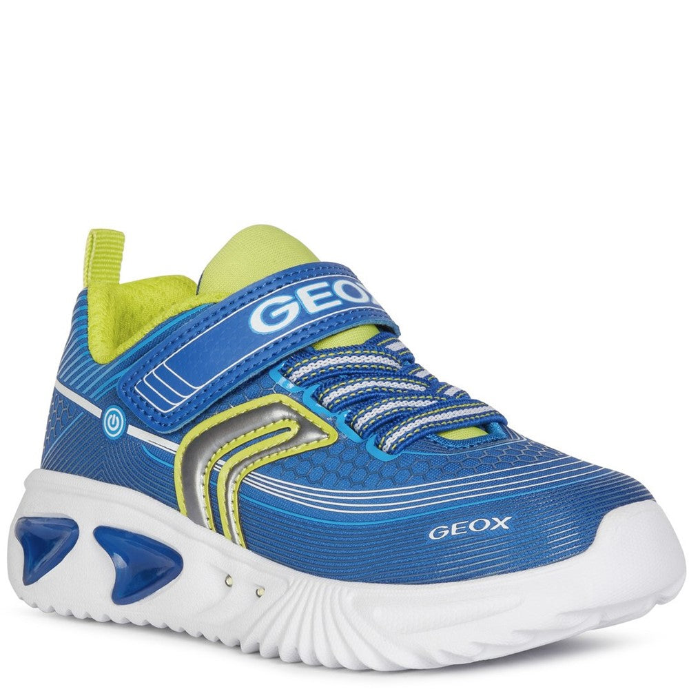 Boys Geox Assister Trainers Royal | Brantano