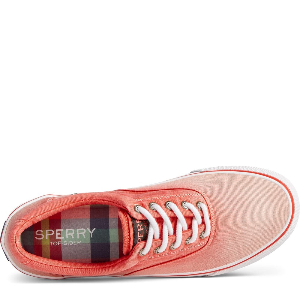 Sperry Striper II CVO Ombre Lace Shoes